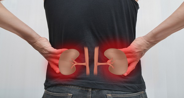 10-most-common-habits-that-damage-your-kidneys