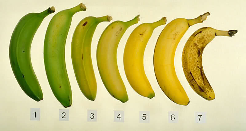 do-you-know-which-of-these-7-bananas-is-the-best-for-you-and-your-health