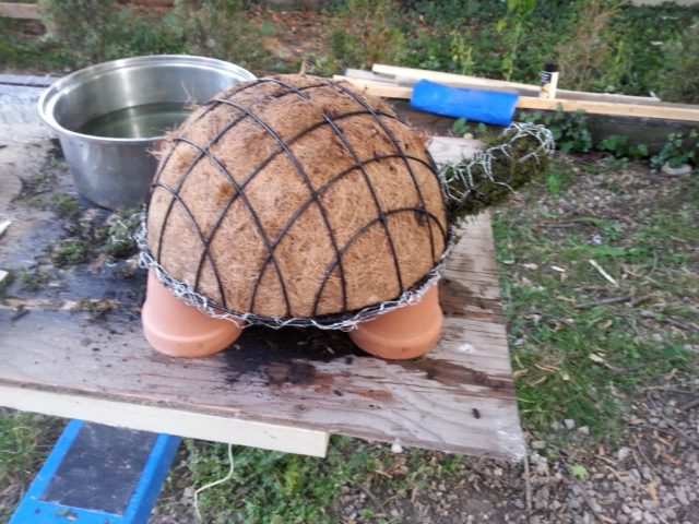 Voici comment confectionner une tortue-jardin avec des plantes grasses et de la mousse 5