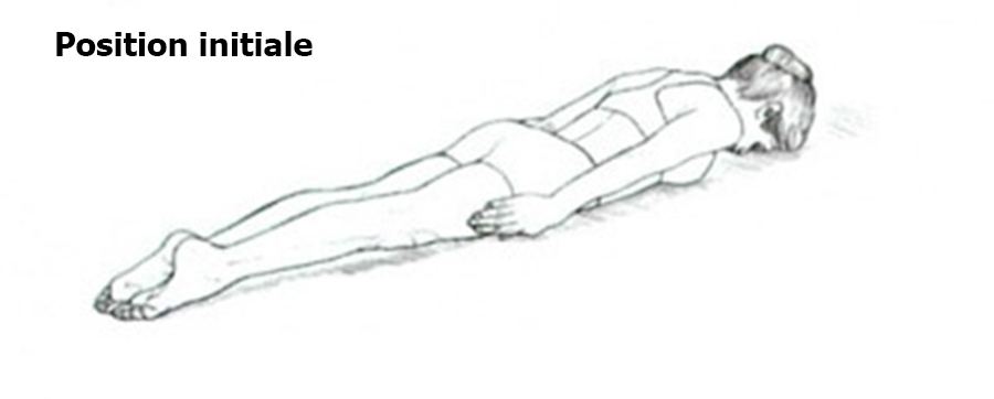 position-planche-originale